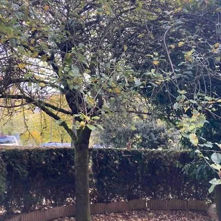 Apartment Lovely 35 M2 With Garden. 2/4 People Le Chesnay (Yvelines)